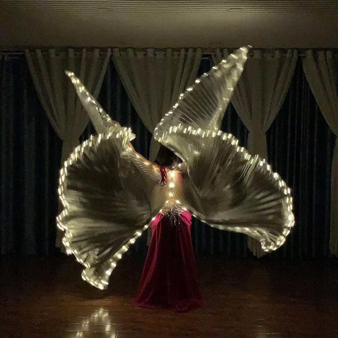 LED Butterfly Wings
