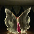 LED Butterfly Wings