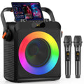 Professional Portable Karaoke Machine