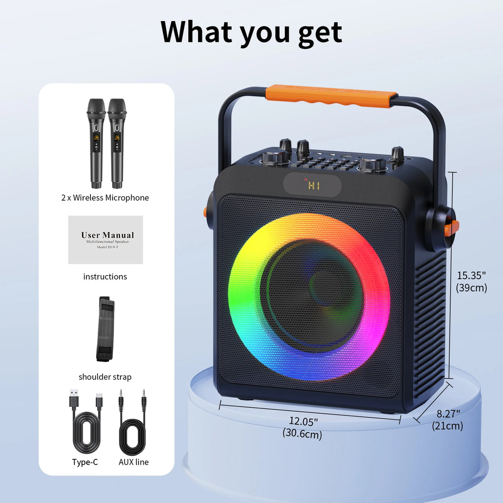 Professional Portable Karaoke Machine