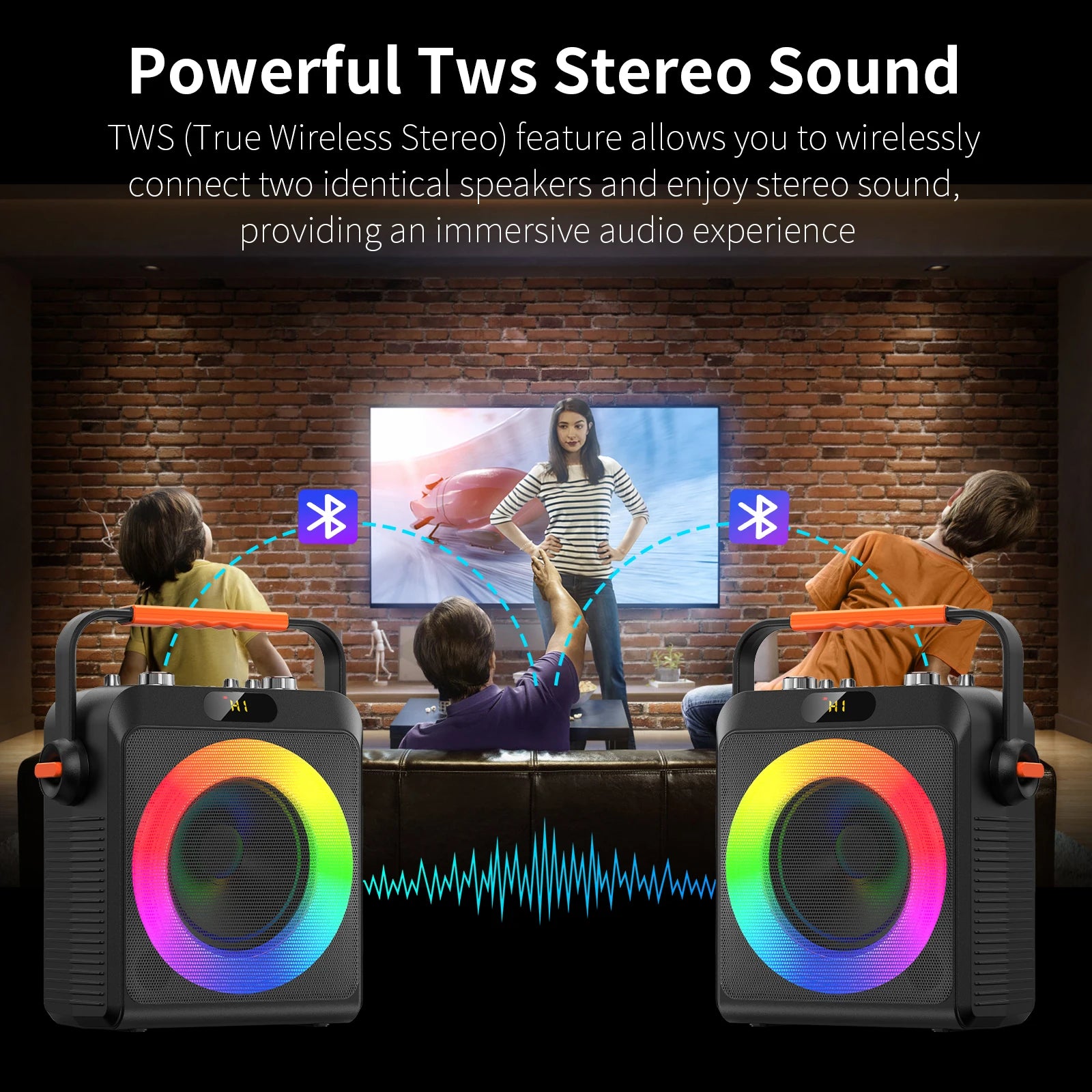 Professional Portable Karaoke Machine